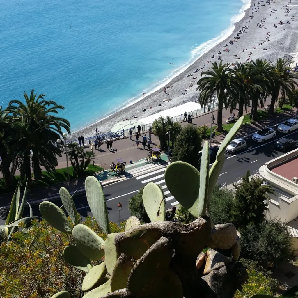 Elevated view of a Marbella beachfront promenade with palm trees, turquoise water and coastal pathways, illustrating demand for a building plot for sale Marbella in prime seaside locations.